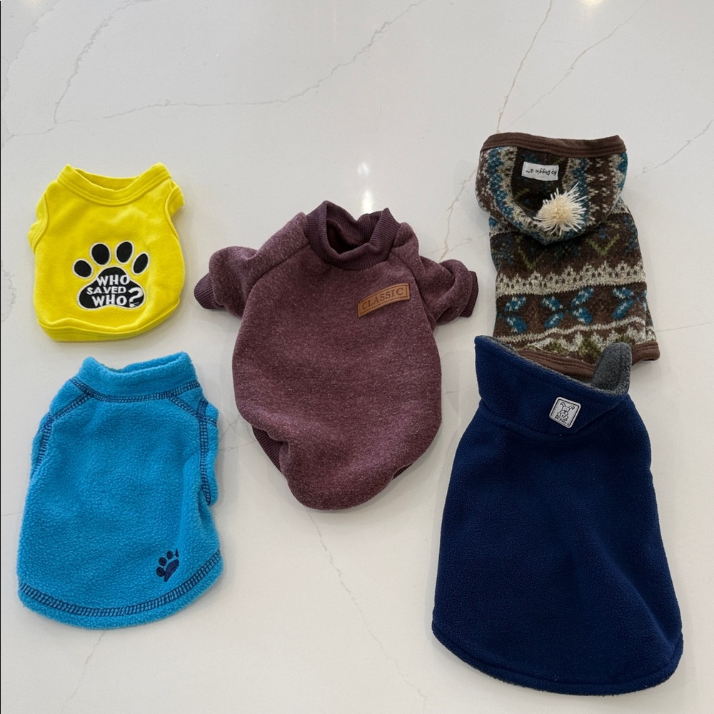 Pet Sweater Collection - Assorted Colors